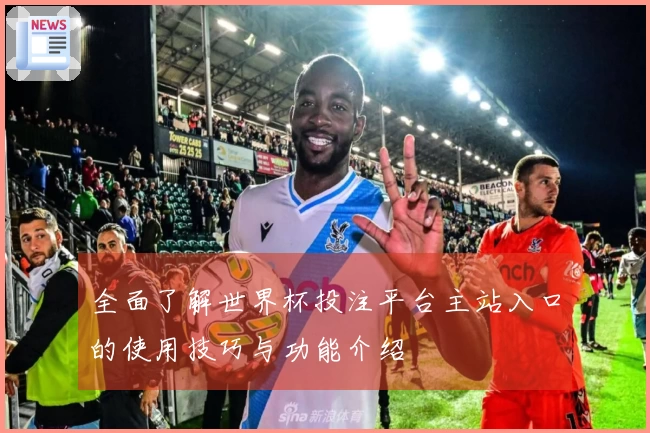 全面了解世界杯投注平台主站入口的使用技巧与功能介绍