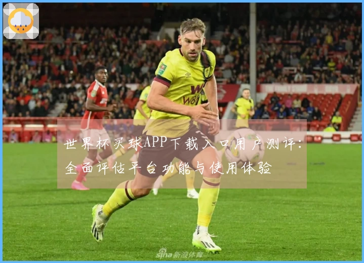 世界杯买球APP下载入口用户测评:全面评估平台功能与使用体验