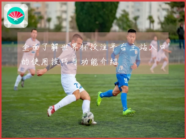 全面了解世界杯投注平台主站入口的使用技巧与功能介绍